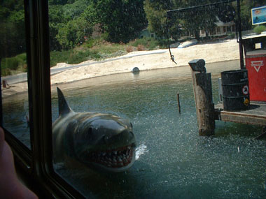 Shark in Universal Studios