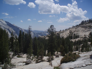 View from Tioga Road
