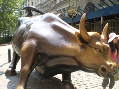 Wall Street's bull