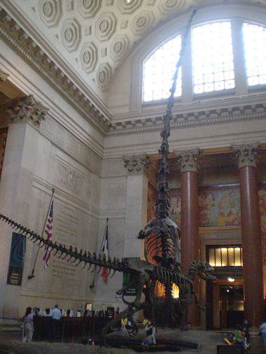 Hall of the American Museum of Natural History