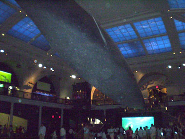 Ocean hall in American Museum of Natural History