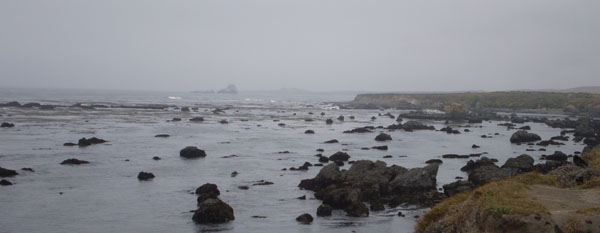 Seals' coast