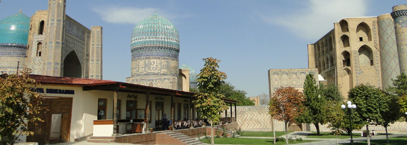View of Bibikhanum from Tashkent Avenue