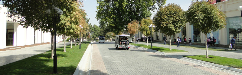 Avenida Tashkent