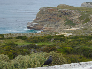 Views in Cape of Good Hope
