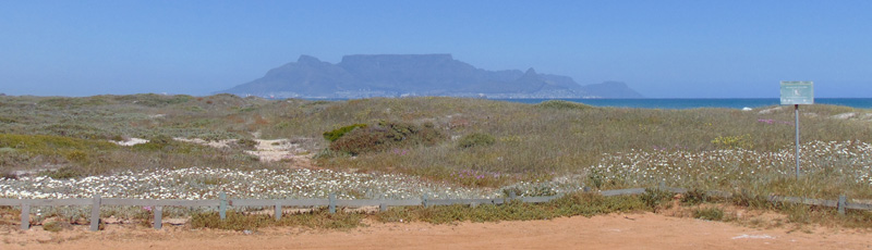 Vista de la Table Mountain desde la Reserva Natural Blaauwberg